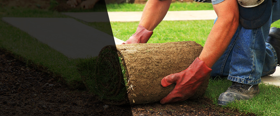 Kamiah Landscapers